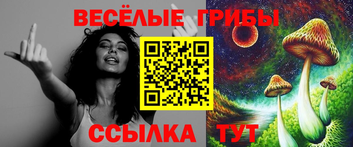 Краснокаменск  Галлюциногенные грибы MAGIC MUSHROOMS  Вход с VPN  где продают наркотики  Псилоцибиновые грибы мухоморы 